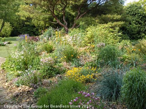 hidcote (12)